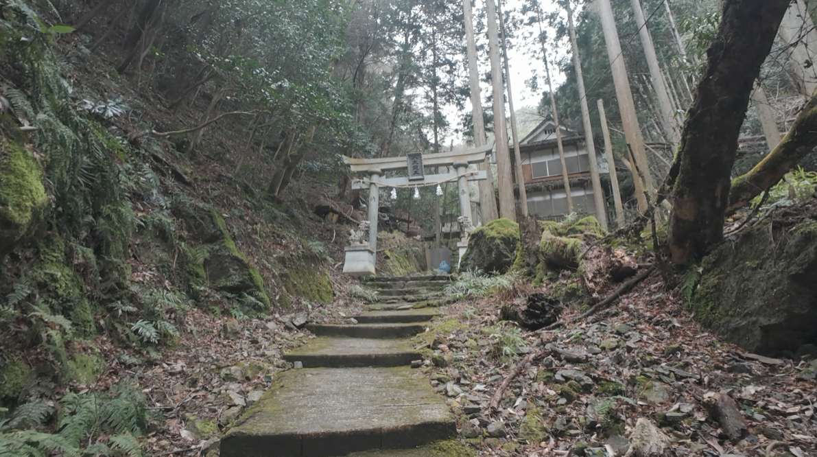 門